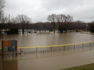 Baseball fields underwater in Lions Park 
