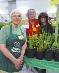 Master Gardeners Nancy Ayers, from left, Suzanne Stevens and Cate Carrington. (File photo)