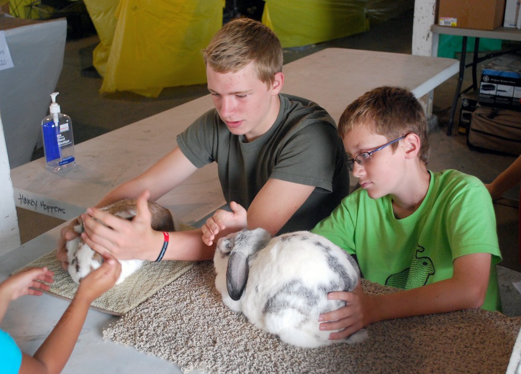 Noblesville residents Grant Beechboard, left, and Jackson VonBlon show off rabbits and explain their animals to guests of the Small Animal Barn on July 22. (Photo by Robert Herrington)