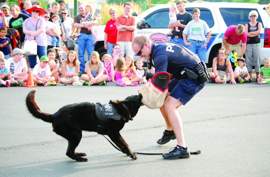 Westfield Police K9 Lopez wrestles with Officer Broc Larrison during a demonstration for the public. (Photos by Robert Herrington)