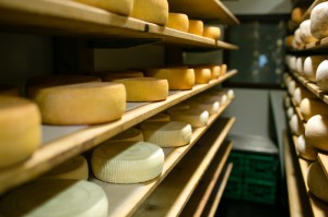 Award-winning artisan cheeses. (Photo by Anya Albonetti)
