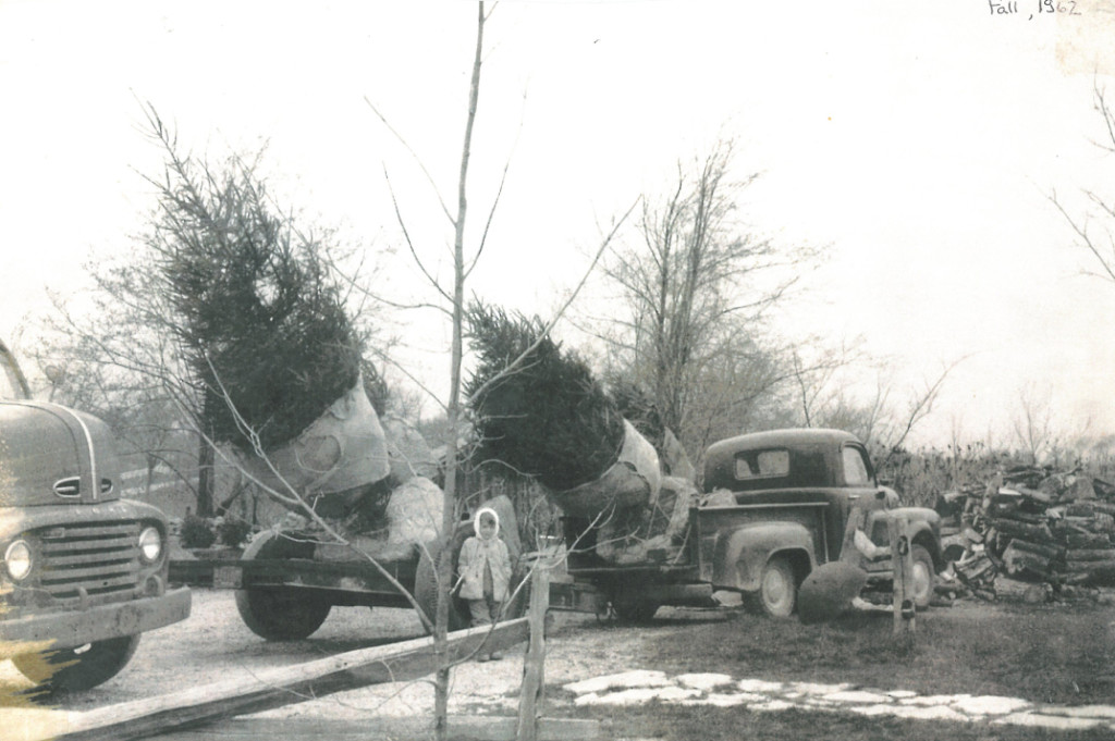 Watts Christmas Tree Farm opened in 1961 on Hunt Club Road and has now moved to downtown Zionsville. (Submitted photo)