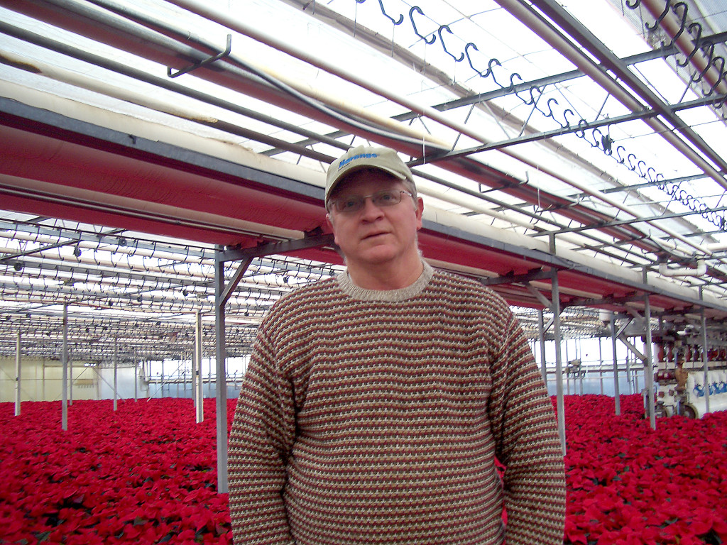 Tom Samuelson, head grower, said Heartland Growers in Westfield produced 294,784 pots of poinsettias this year. (Photo by Lauren Olsen.)