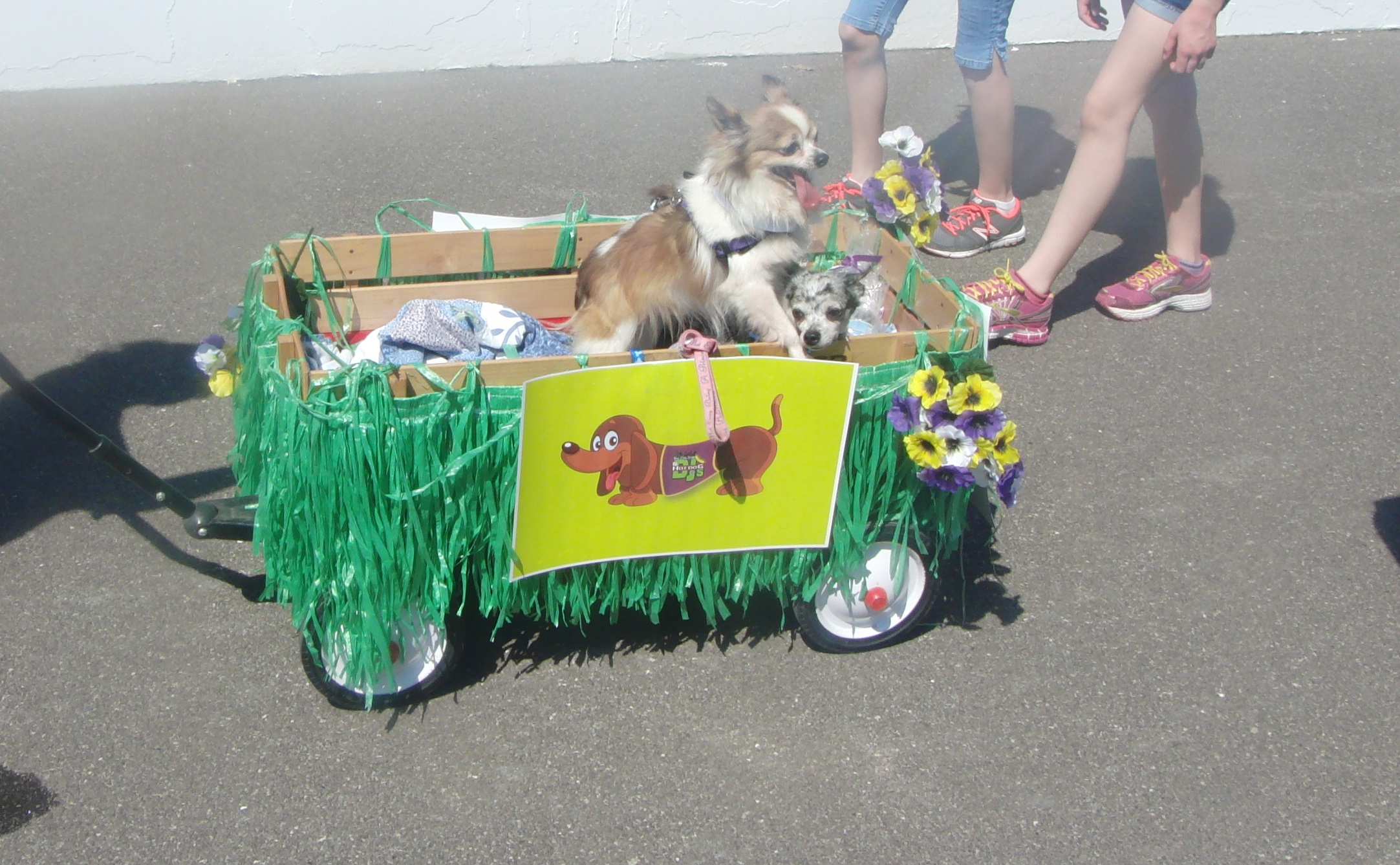 Rescued pups, cared for with funds raised by DJ’s, participated in the Mutt Strut in April. (Submitted photo)