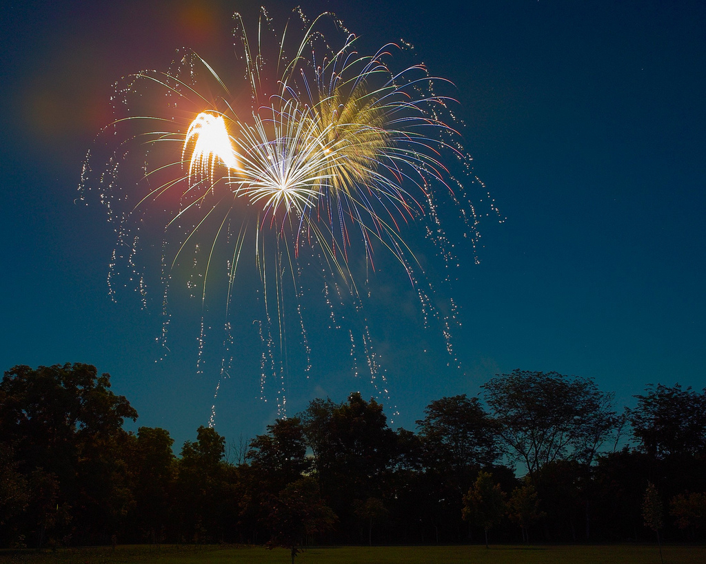 CIZ Fireworks over Lions Park