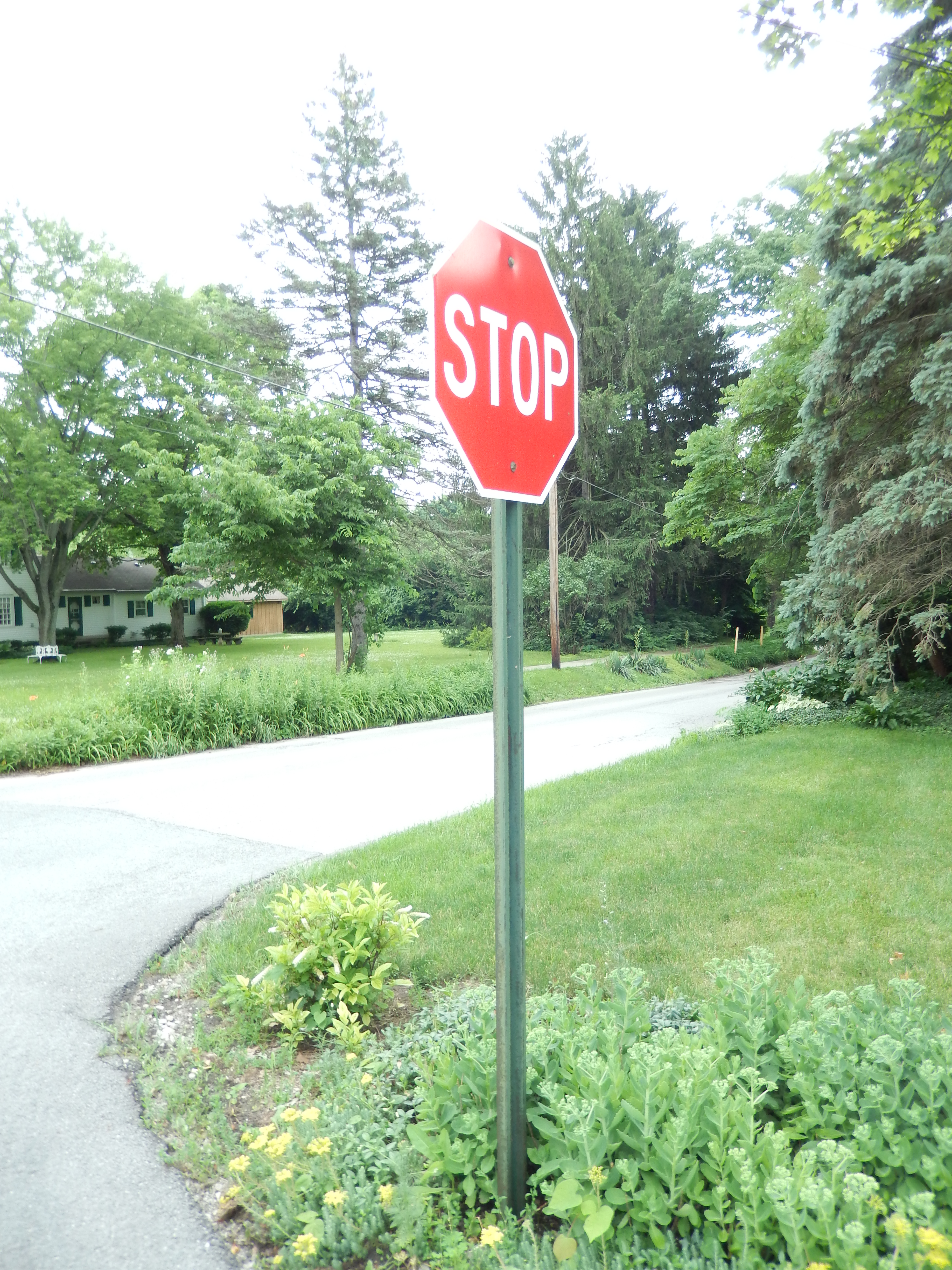 The stop sign that stands on Sycamore and Sixth Streets used to be decorated by Zionsville resident Flossie Pederson. 
