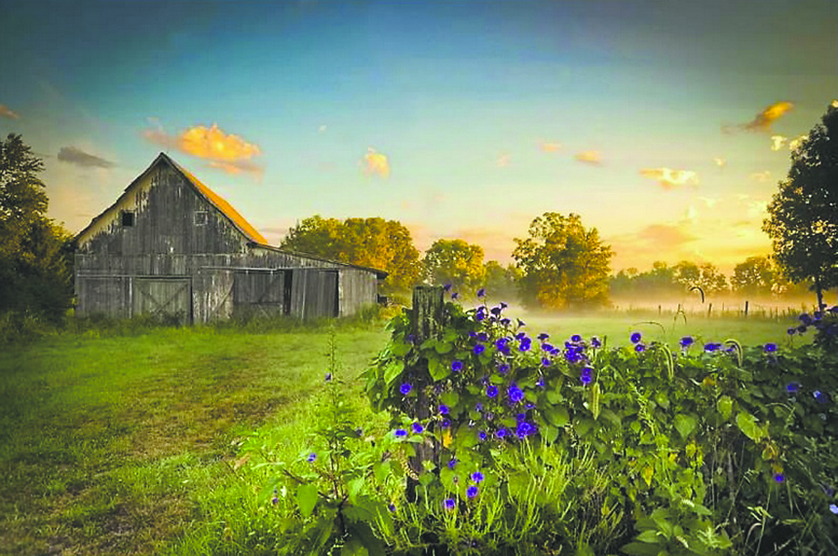 Sally Wolfe’s photo of a barn and field won first place at the inaugural photo contest. (Submitted photo) 