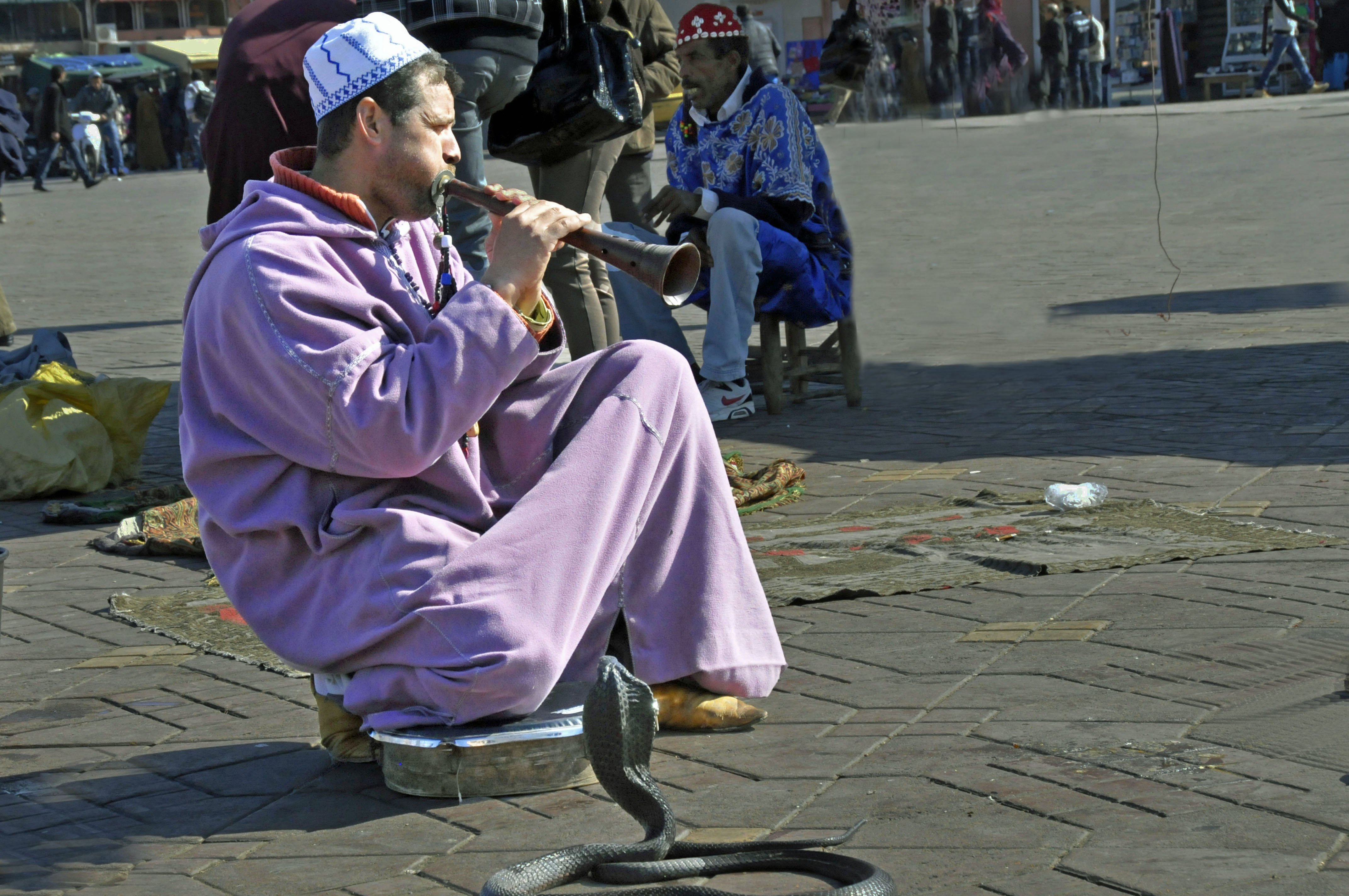 Snake Charmer on the Square in Marrakesh, Morocco. (Photo by Don Knebel)