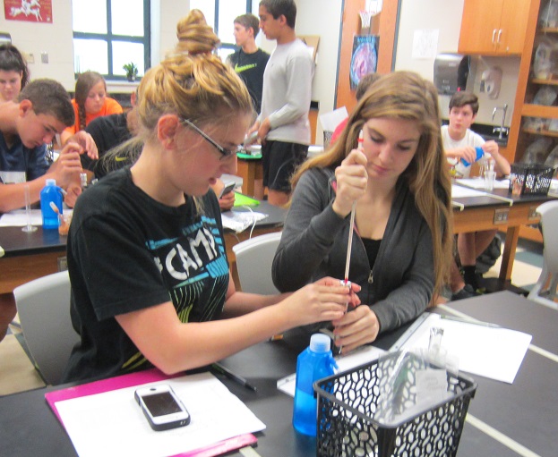 ZCHS students in Mrs. Sweaks Biology class were testing how temperature, PH, enzyme concentration, and substrate concentration affect enzymes.  They were using raw and pureed livers to perform their experiments. 