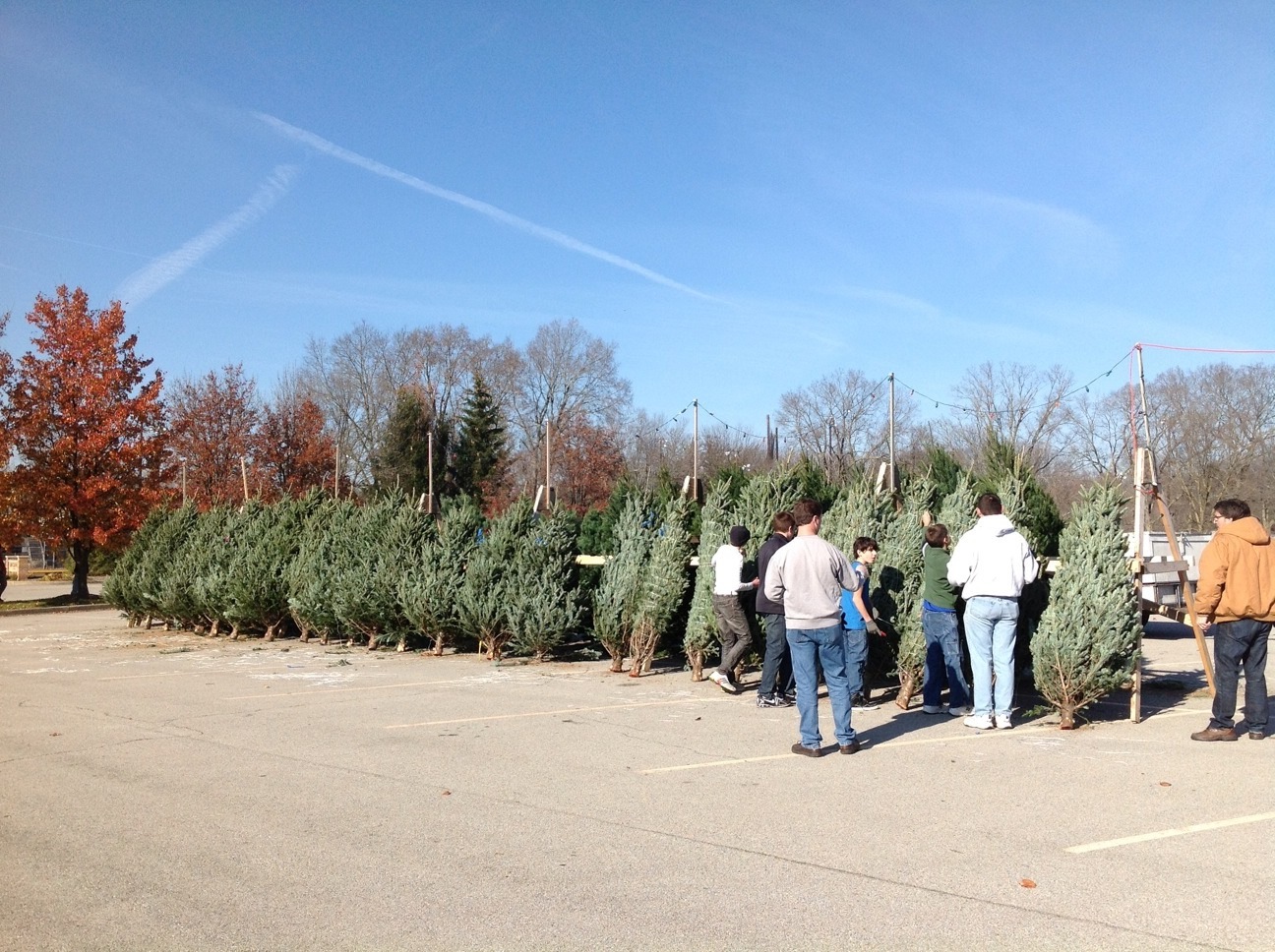 “Last year we sold 225 trees and 452 wreaths,” said troop volunteer Jim Badger. “We have 255 trees ordered for this year, 30 more than last year.” (Submitted photo)