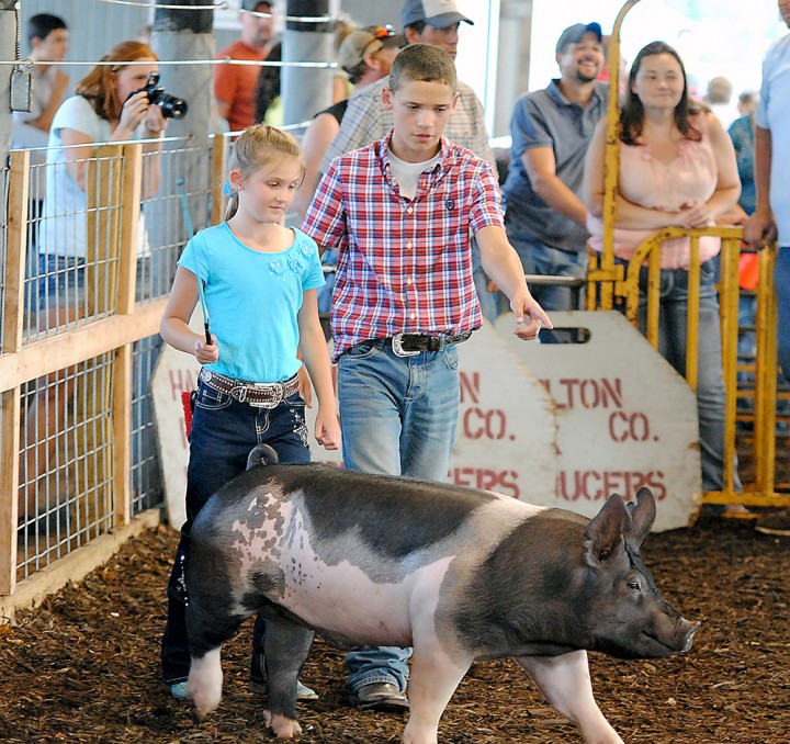 Blake Webel assists his sister, Ashley, in exhibiting a pig during last year’s county fair. (File photo)