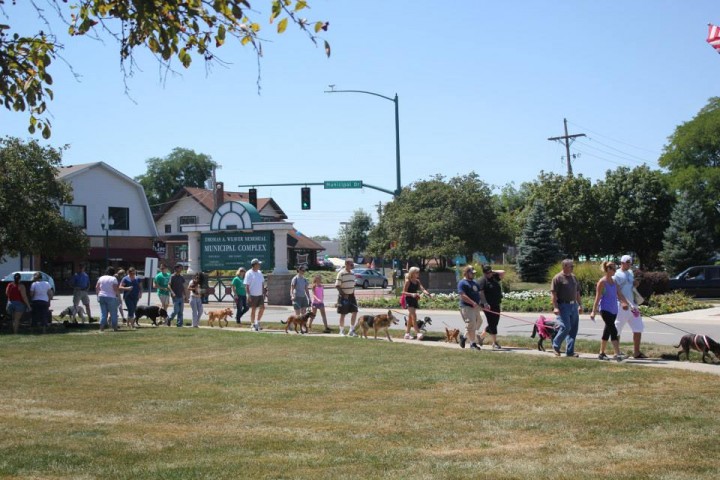 Pets and their owners walk in the Parade of Paws around the Nickel Plate District Amphitheatre in Fishers. (Submitted photo)