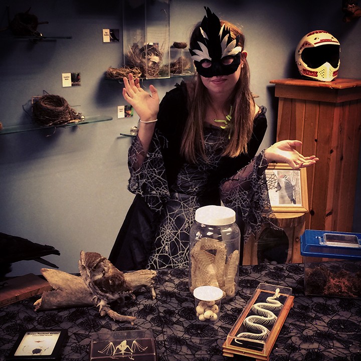 Zion Nature Center’s Grace Lander shows off witch’s lair during last year’s Halloween Hike. (Submitted photo).