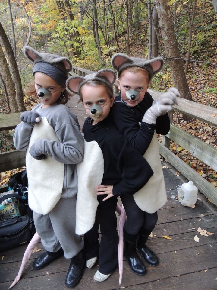 Dressed as mice, Emily Carlisle, Emma Rogers, and Lucy Caltrider enjoy a Hauntless Halloween. (Submitted photo)