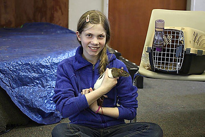 Maggie Donovan, 12, spends time with a rat at the 2015 Nature Fest. (File photo)