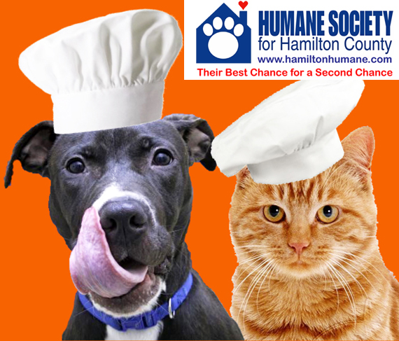 dog-cat-humane-society-logo