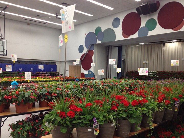 The gym at Carmel Elementary School will be filled with flowers during the annual flower sale, with pickup this year set for April 29. (submitted photo)