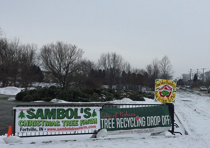 The City of Fishers partners with Sambol’s Tree Farm out of Fortville and turns recycled Christmas trees into new mulch for two of its parks. (Submitted photo)