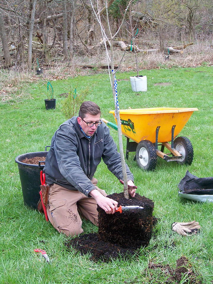 Arborist Jerome Delbridge demon- strates to volunteers how to properly plant a new tree. (Photo by Sam Elliott)