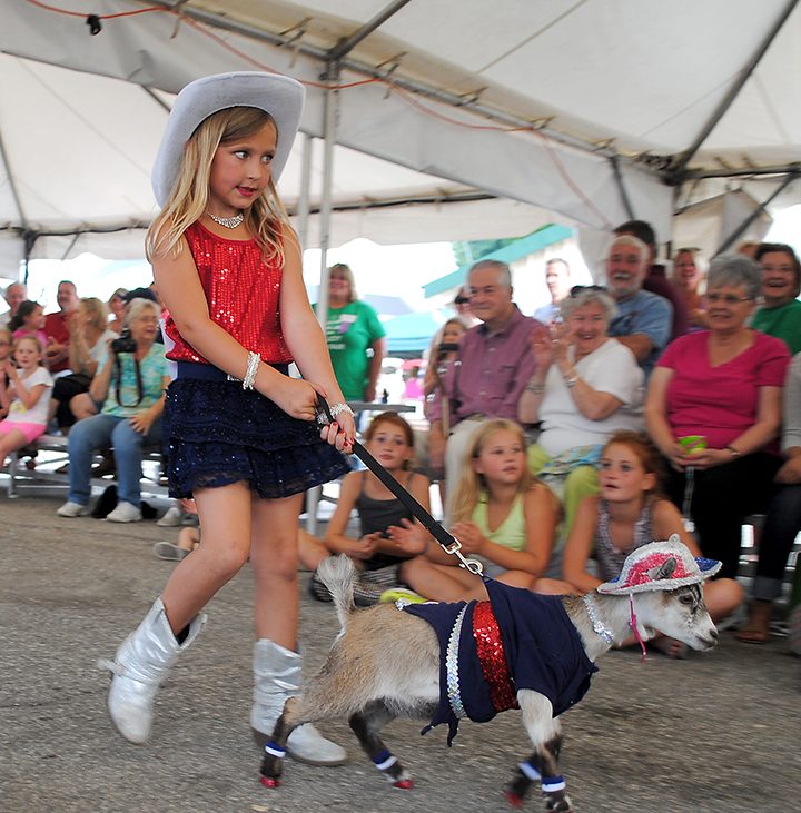 The Hamilton County 4-H Fair will return to Noblesville for its 78th year July 21 to 25. (Current file photos)