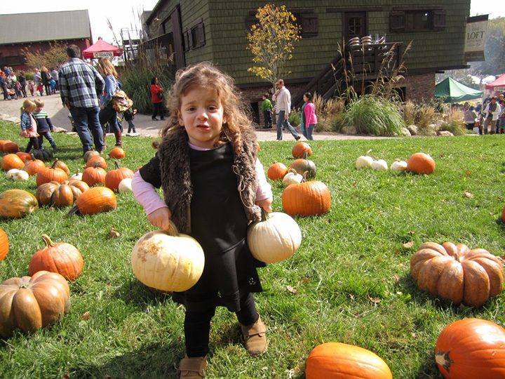 Kids of all ages can enjoy finding a pumpkin at the Traders Point Creamery Oktoberfest. (File photo)