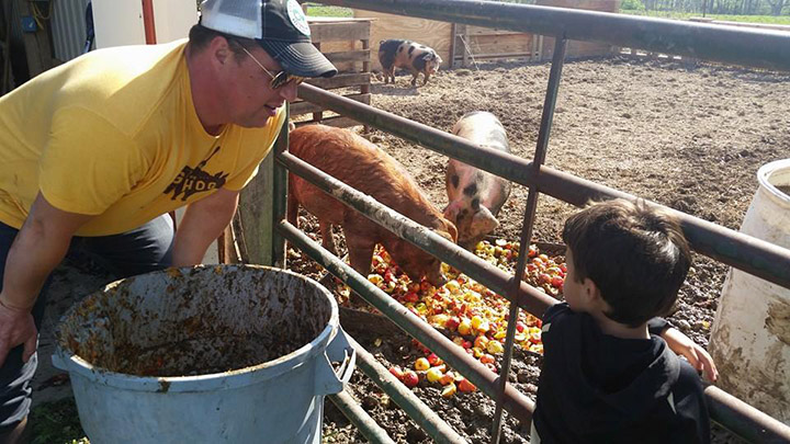 Matt Hayden feeds the hogs on his property in Fishers. (Submitted photo)