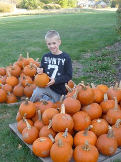 Will Selm is among the many children who help set up the annual Pumpkin Patch at St. Francis Church (Submitted photo)