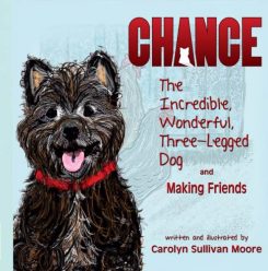 ‘Chance, the Wonderful, Incredible Three-Legged Dog and Making Friends’ is now available. (Submitted photo)