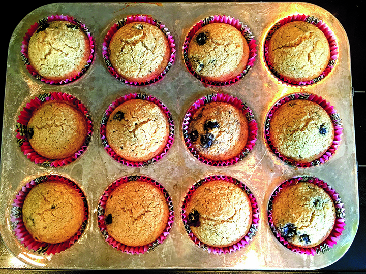 ND 1025 Healthy Muffins