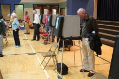 A voter casts a ballot at Forest Dale Elementary on Nov. 8. (Photo by Ann Marie Shambaugh)