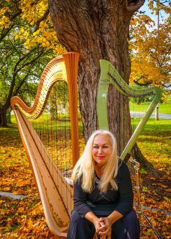 ND 0307 Irish Harp Concert