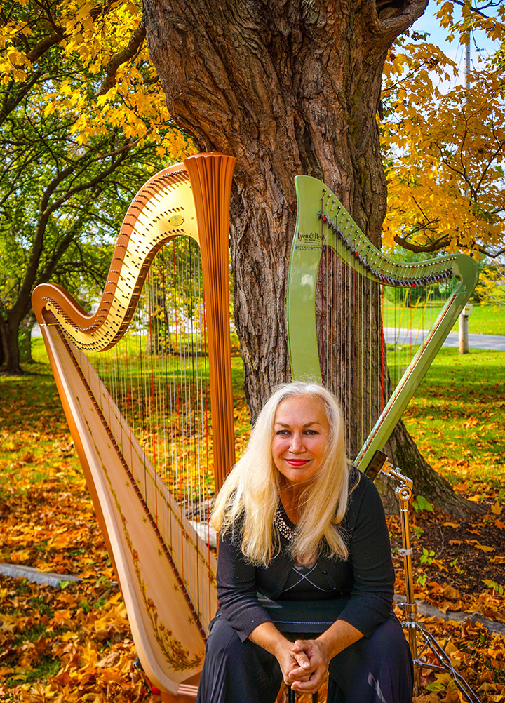 irish harp players
