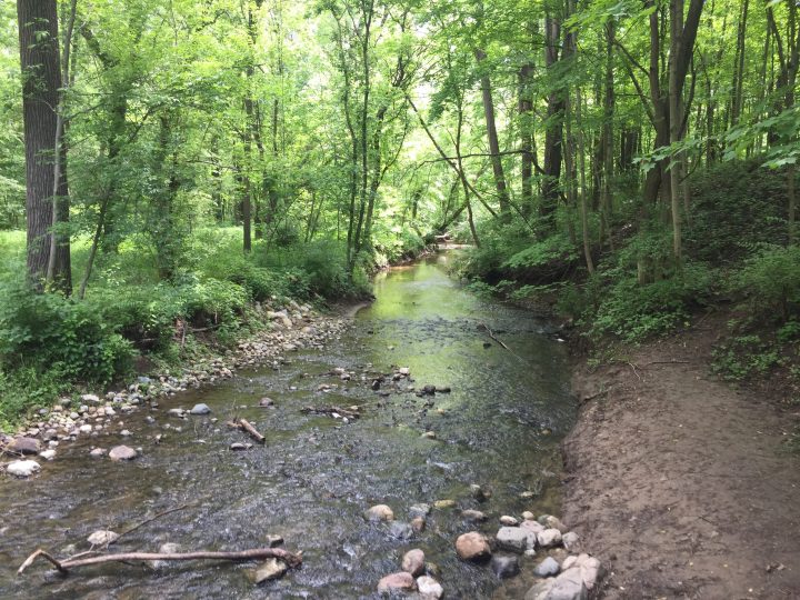 The trails inside Cool Creek Park make for a nice nearby getaway.