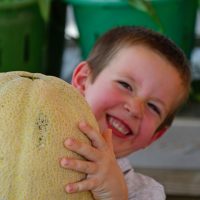 Conor Laskowski of Zionsville picks out a melon as big as his head. (Photo by Dawn Pearson)