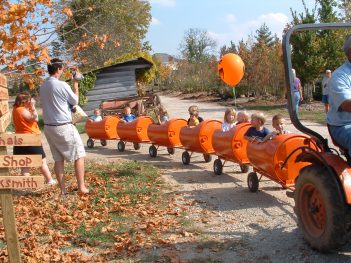 pumpkin train