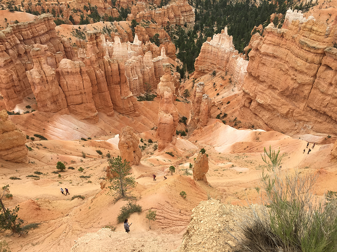 Column The Hoodoos Of Bryce Canyon Current Publishing