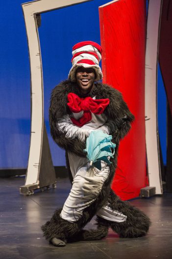 ND CAT IN THE HAT 0225 pic 1