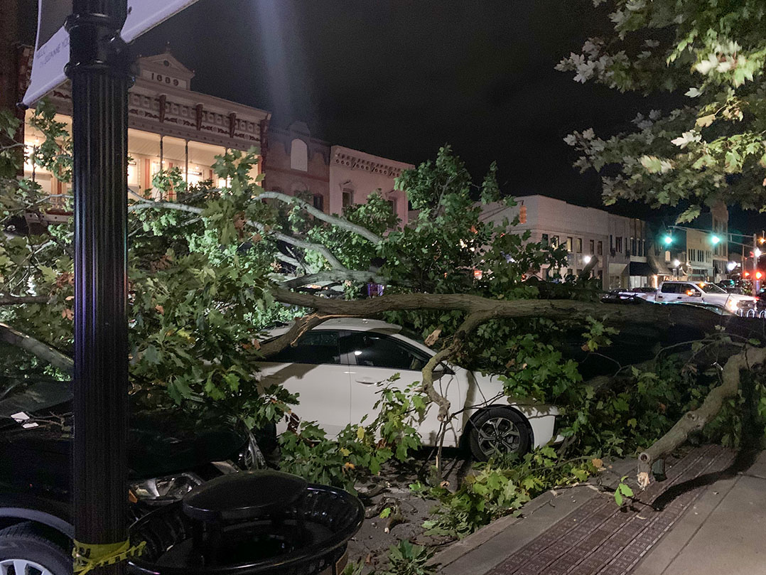 Tree causes $100,000 in damage to four cars in downtown Noblesville 