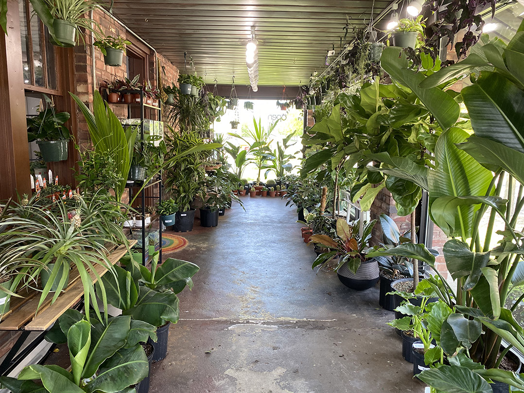 Plant store grows into Fishers