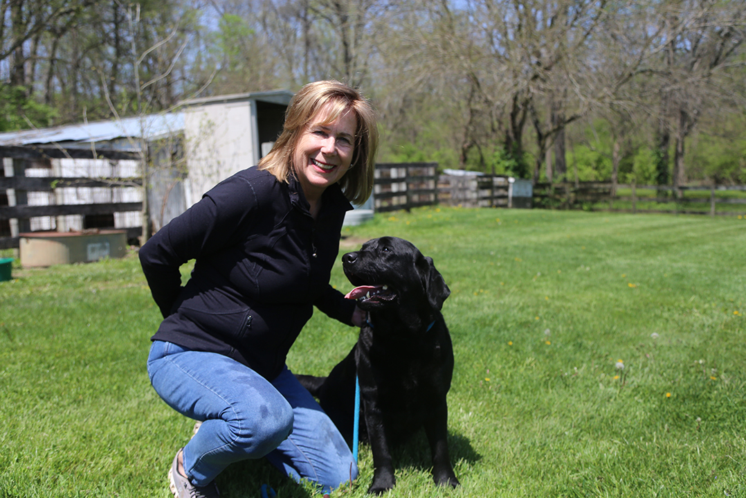 For the love of dogs: Zionsville’s Labrador retriever breeder earns prestigious judging post