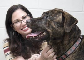 Humane Society for Hamilton County assists animals locally and beyond