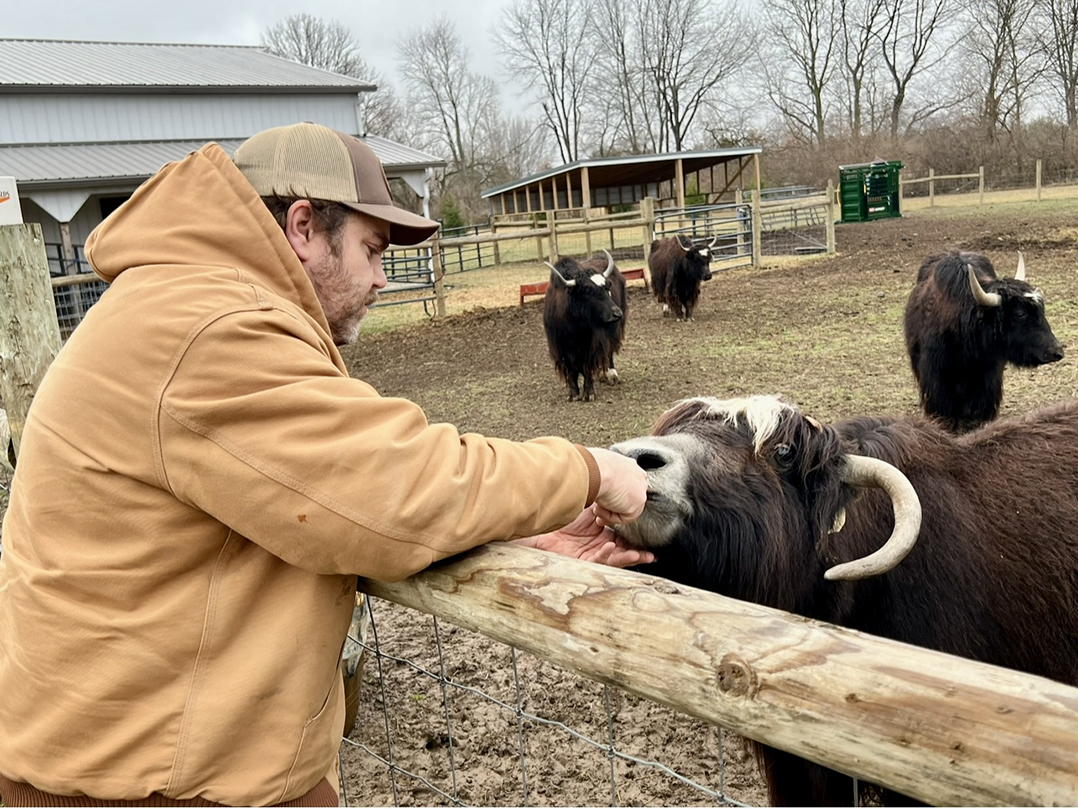 ‘Yak’-ing it up: Noblesville family opens unique ranch and winery business